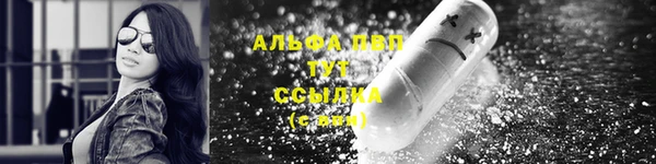 PSILOCYBIN Балабаново