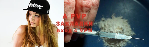 стаф Балахна