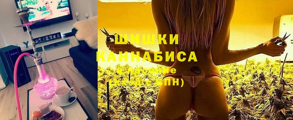 стаф Балахна