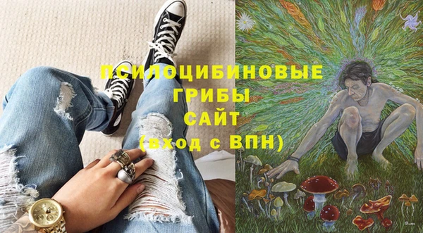 стаф Балахна