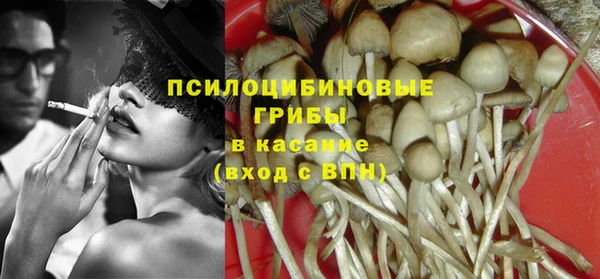 стаф Балахна