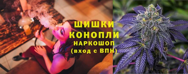 стаф Балахна