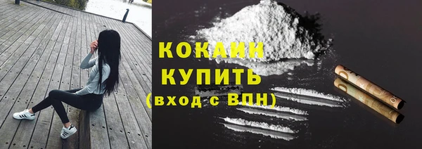 ECSTASY Новозыбков